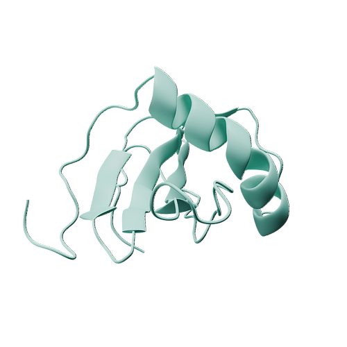 Human CSTA (N-6His, E.coli)